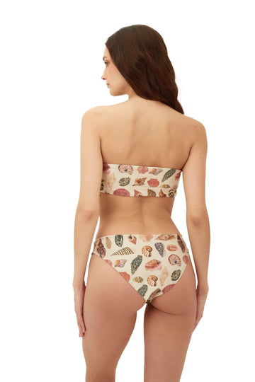 Bikini Panty Seashell Cast - B21279 - Malai