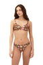 Bikini Top Earth Seashell Majestic - T86280 - Malai